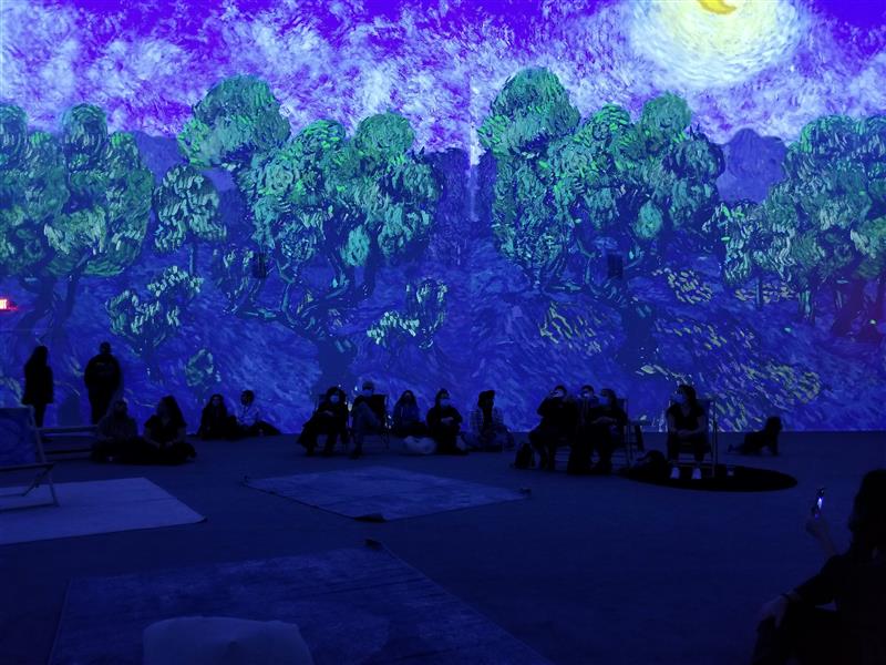 Artistic Immersive Experience