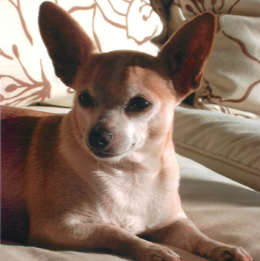 Prancer