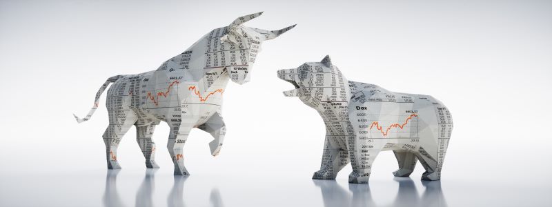 Sibling Discord: Stocks and Bonds