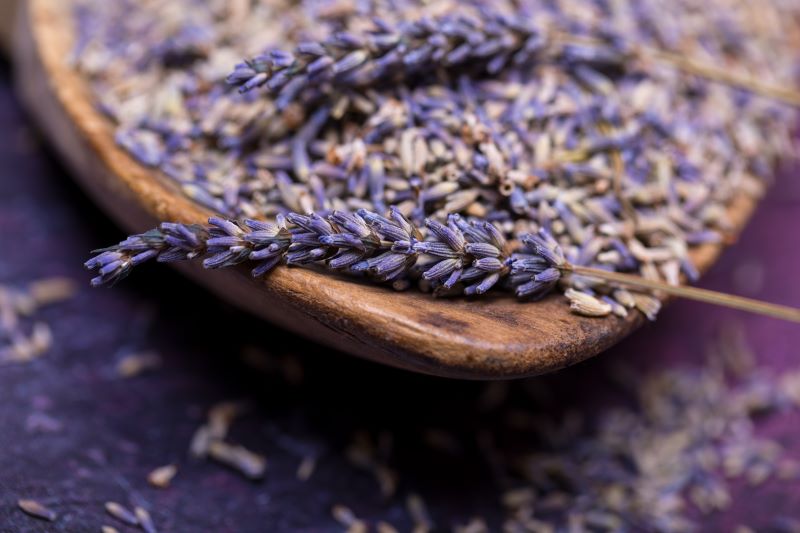 Lavender: Fragrance, Flavor, and History