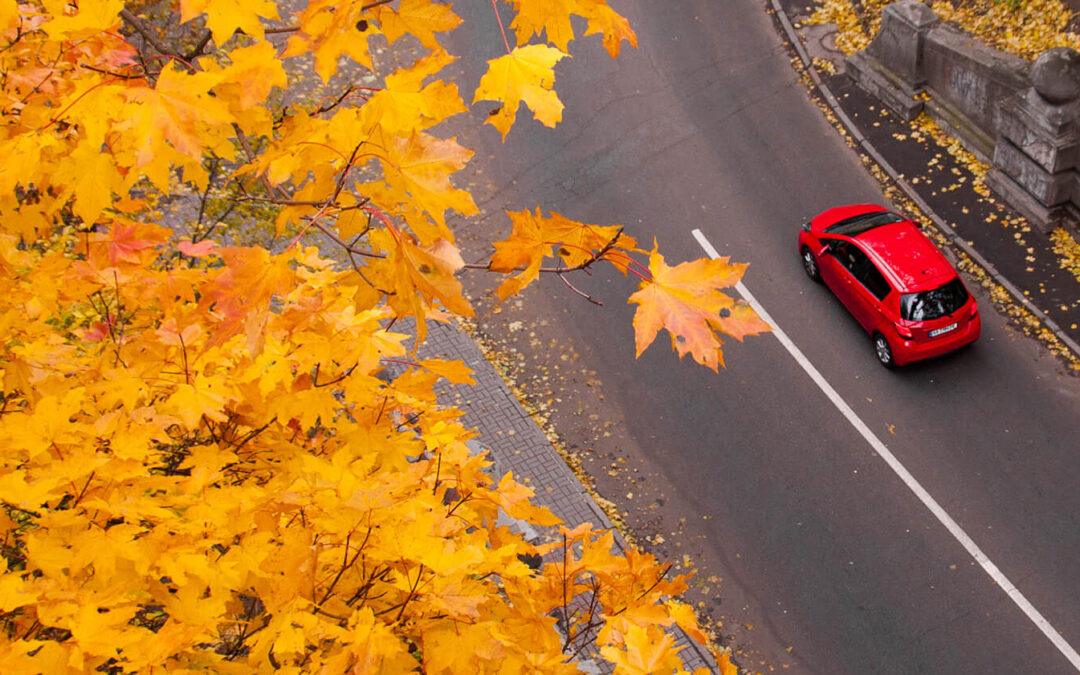 Fall is a Beautiful Time of Year to Travel