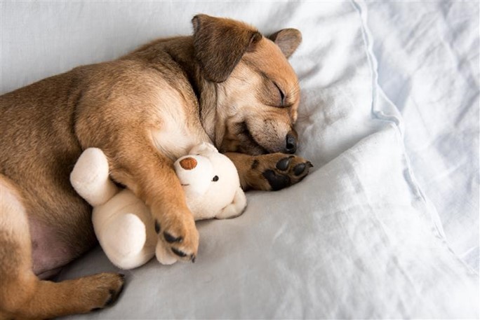 sleeping