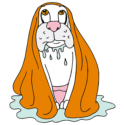 dripping-dog
