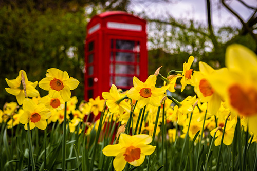 A Jaunt Across The Pond