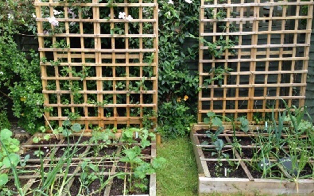 Square Foot Gardening