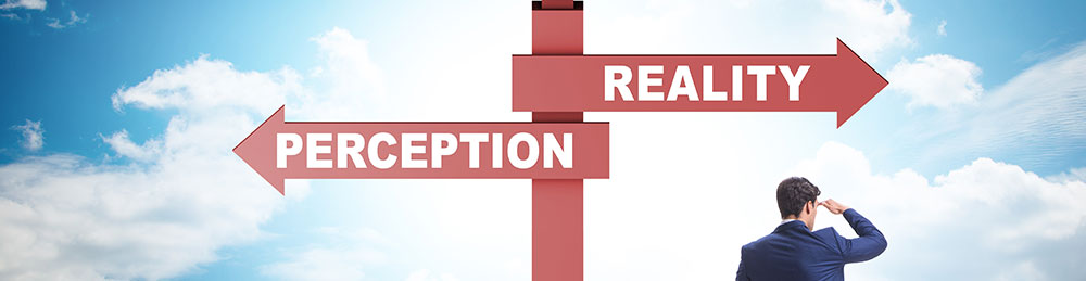 perception