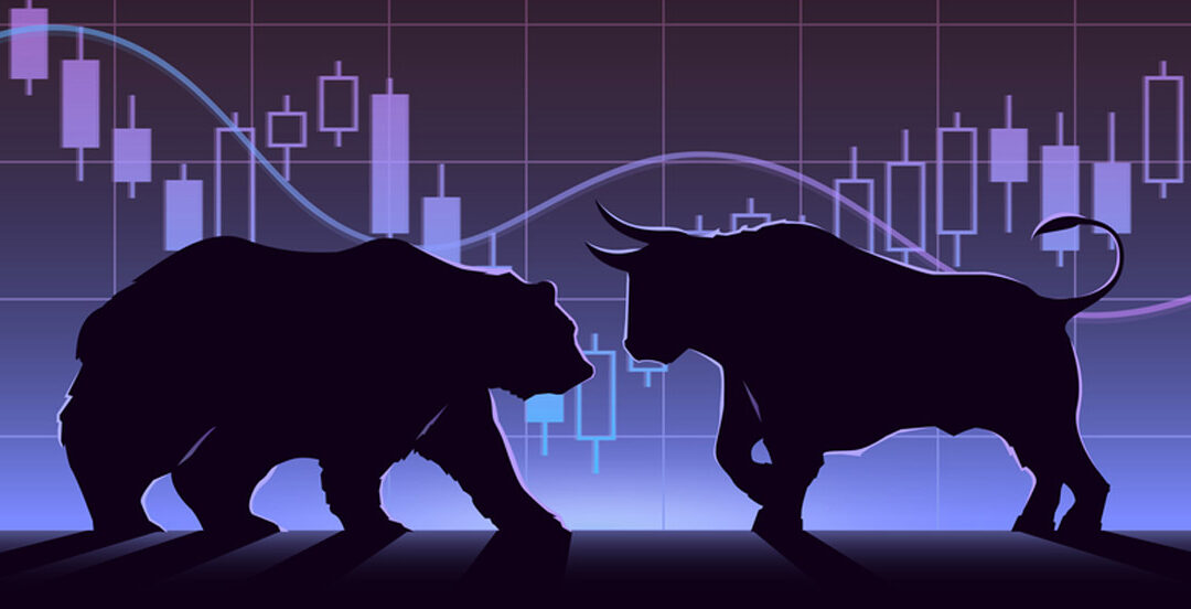 Individual vs. Institutional Investors